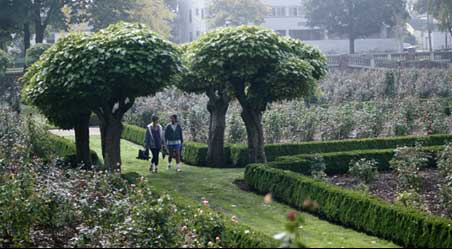 people walking in formal garden